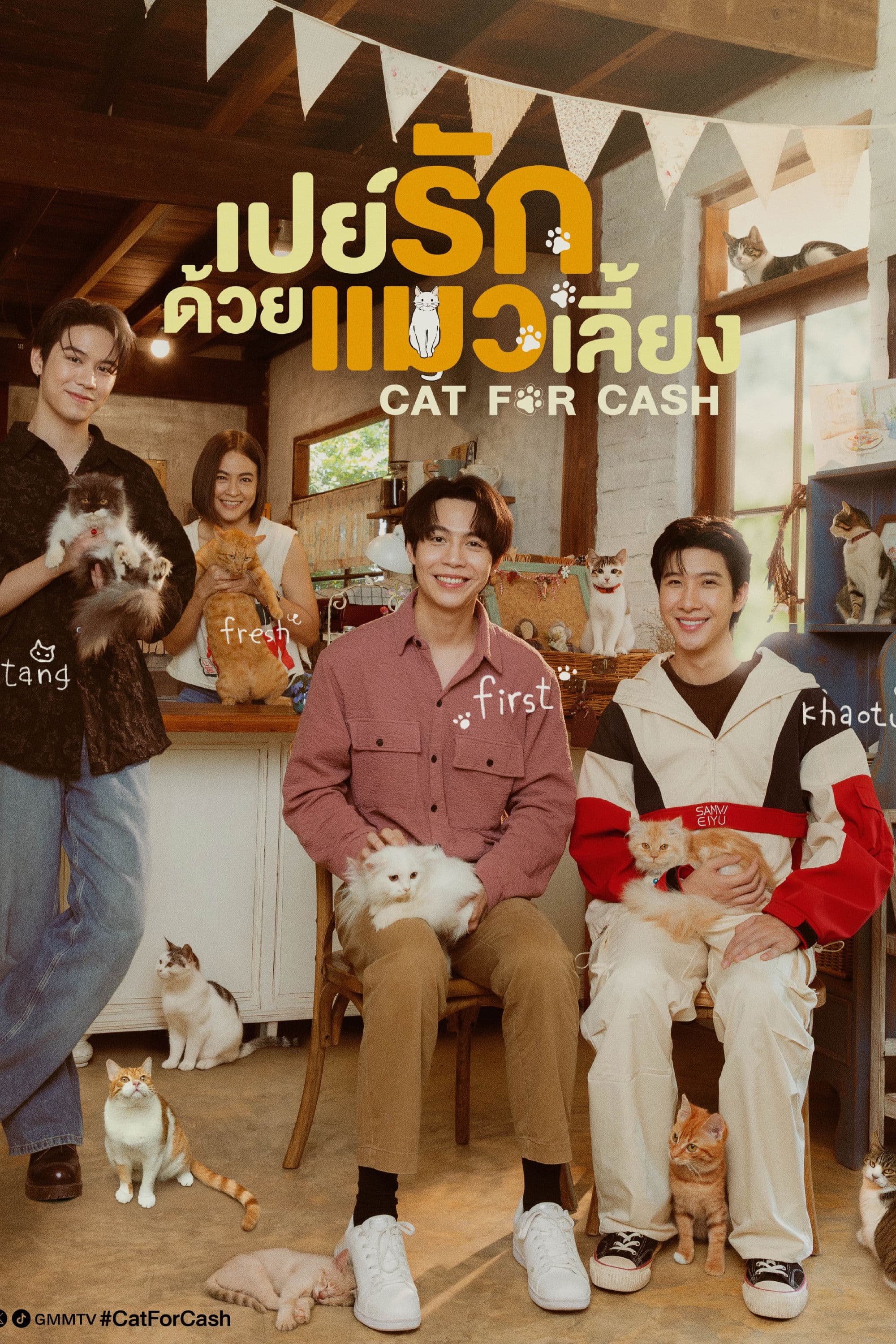 Đổi Tình Lấy Mèo